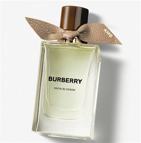 Vůně BURBERRY 